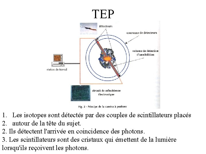 TEP 1. Les isotopes sont détectés par des couples de scintillateurs placés 2. autour