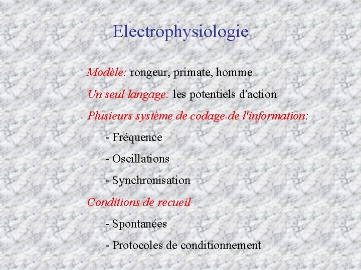 Electrophysiologie Modèle: rongeur, primate, homme Un seul langage: les potentiels d'action Plusieurs système de
