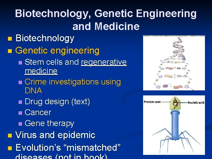 Biotechnology, Genetic Engineering and Medicine Biotechnology n Genetic engineering n Stem cells and regenerative