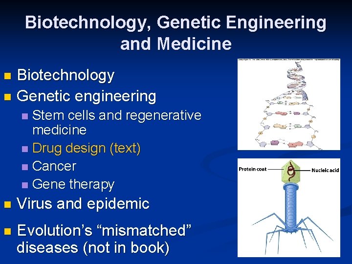 Biotechnology, Genetic Engineering and Medicine Biotechnology n Genetic engineering n Stem cells and regenerative