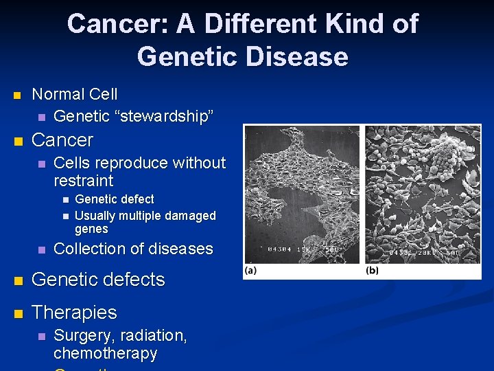 Cancer: A Different Kind of Genetic Disease n Normal Cell n Genetic “stewardship” n
