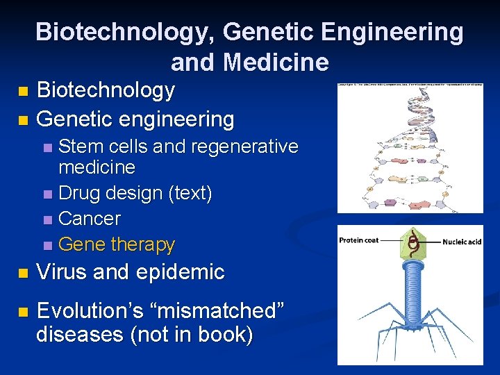 Biotechnology, Genetic Engineering and Medicine Biotechnology n Genetic engineering n Stem cells and regenerative