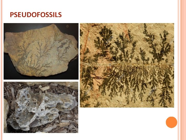 PSEUDOFOSSILS 