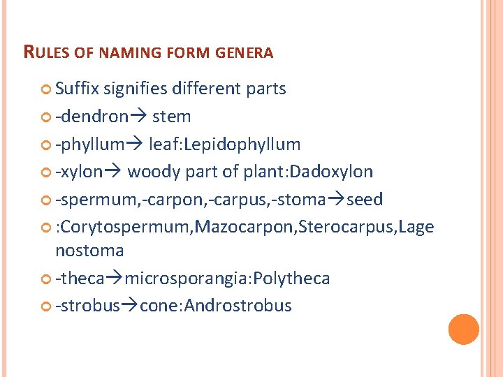 RULES OF NAMING FORM GENERA Suffix signifies different parts -dendron stem -phyllum leaf: Lepidophyllum