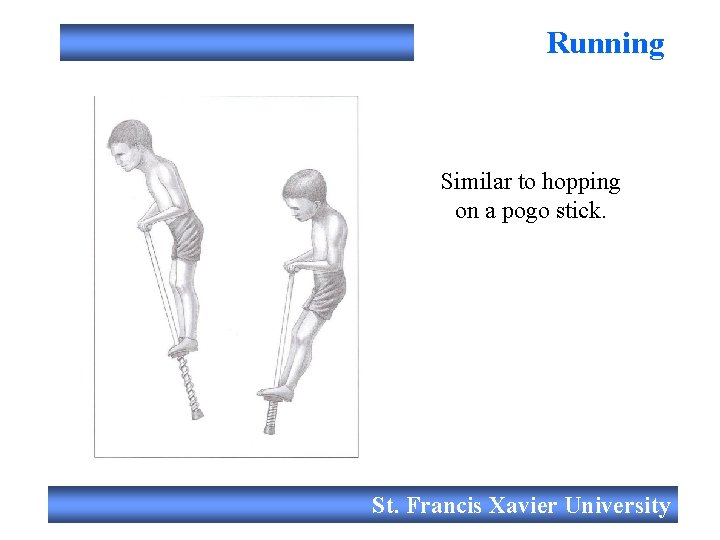 Running Similar to hopping on a pogo stick. St. Francis Xavier University 