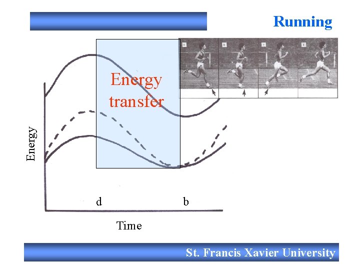 Running Energy transfer d b Time St. Francis Xavier University 