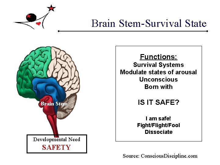 Brain Stem-Survival State Functions: Survival Systems Modulate states of arousal Unconscious Born with Brain Brain Stem-Survival State Functions: Survival Systems Modulate states of arousal Unconscious Born with Brain