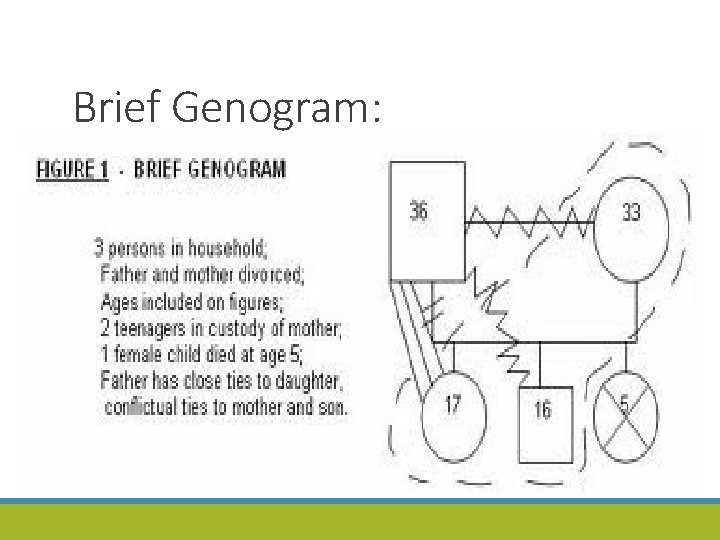 Brief Genogram: 