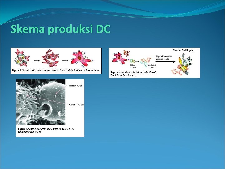 Skema produksi DC 