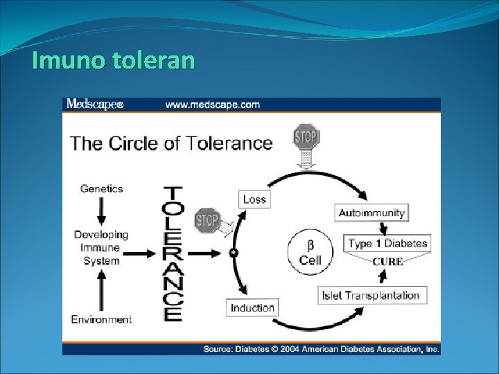 Imuno toleran 