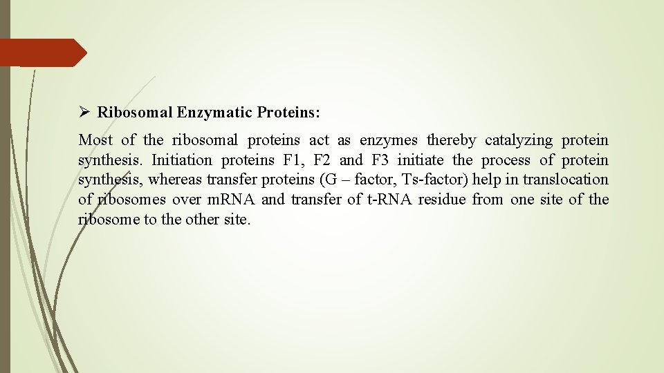 Ø Ribosomal Enzymatic Proteins: Most of the ribosomal proteins act as enzymes thereby catalyzing