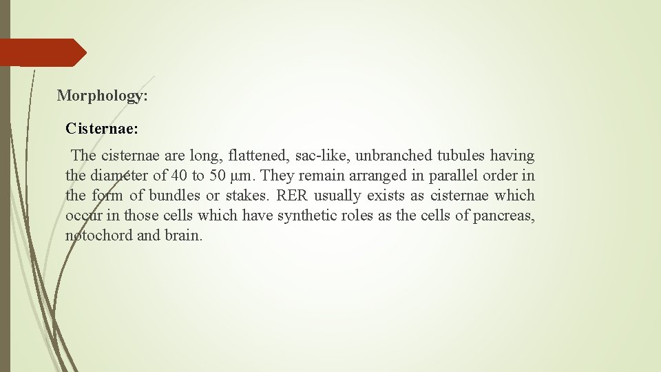 Morphology: Cisternae: The cisternae are long, flattened, sac-like, unbranched tubules having the diameter of