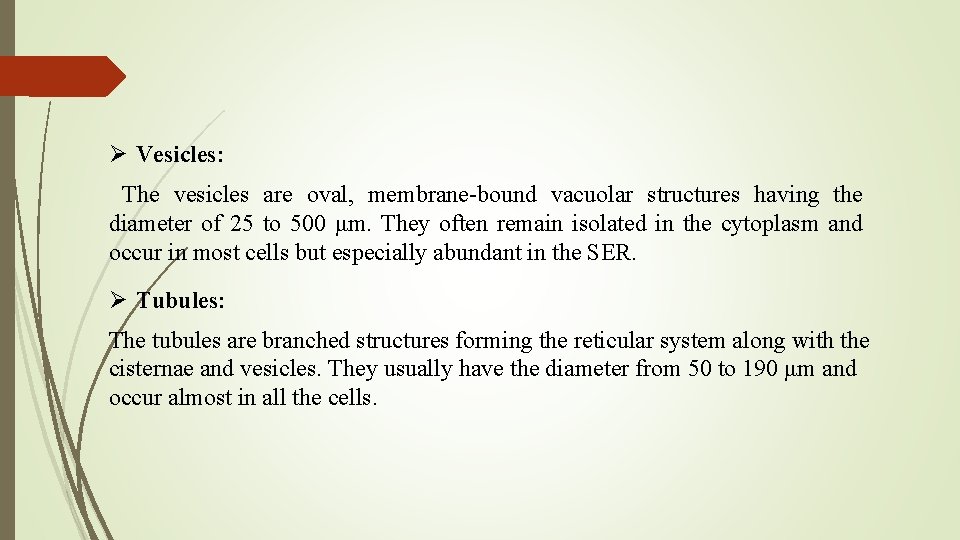 Ø Vesicles: The vesicles are oval, membrane-bound vacuolar structures having the diameter of 25