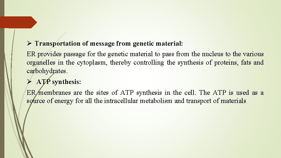 Ø Transportation of message from genetic material: ER provides passage for the genetic material