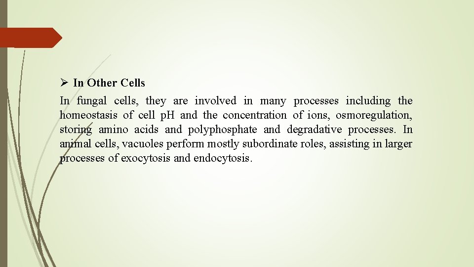 Ø In Other Cells In fungal cells, they are involved in many processes including