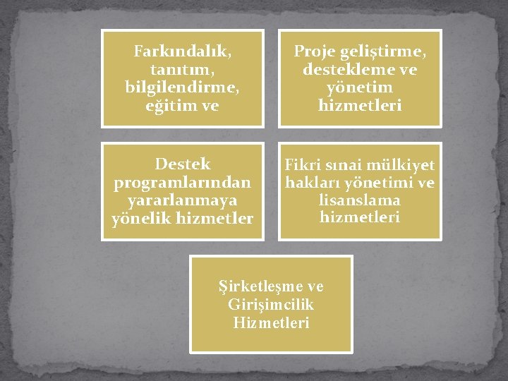 Farkındalık, tanıtım, bilgilendirme, eğitim ve Proje geliştirme, destekleme ve yönetim hizmetleri Destek programlarından yararlanmaya