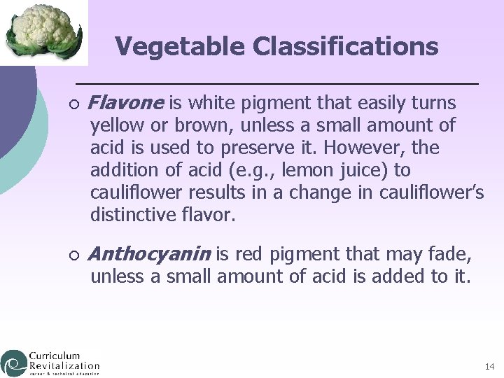 Vegetable Classifications ¡ Flavone is white pigment that easily turns ¡ Anthocyanin is red