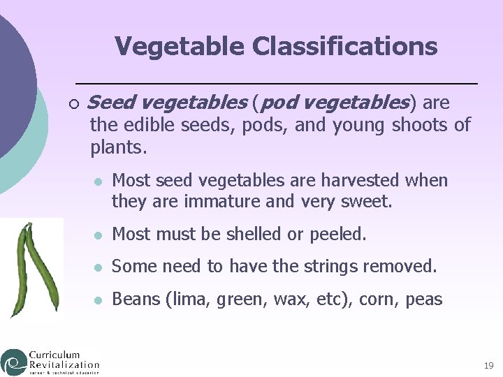 Vegetable Classifications ¡ Seed vegetables (pod vegetables) are the edible seeds, pods, and young