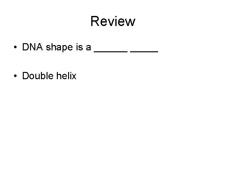 Review • DNA shape is a ______ • Double helix 