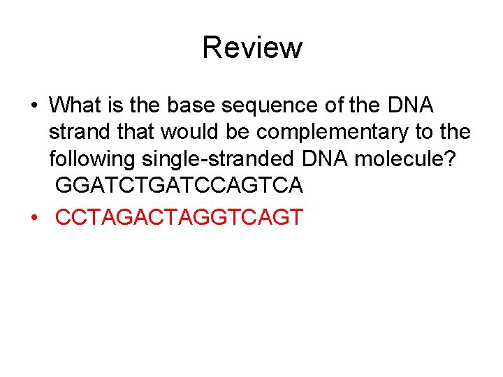 Review • What is the base sequence of the DNA strand that would be