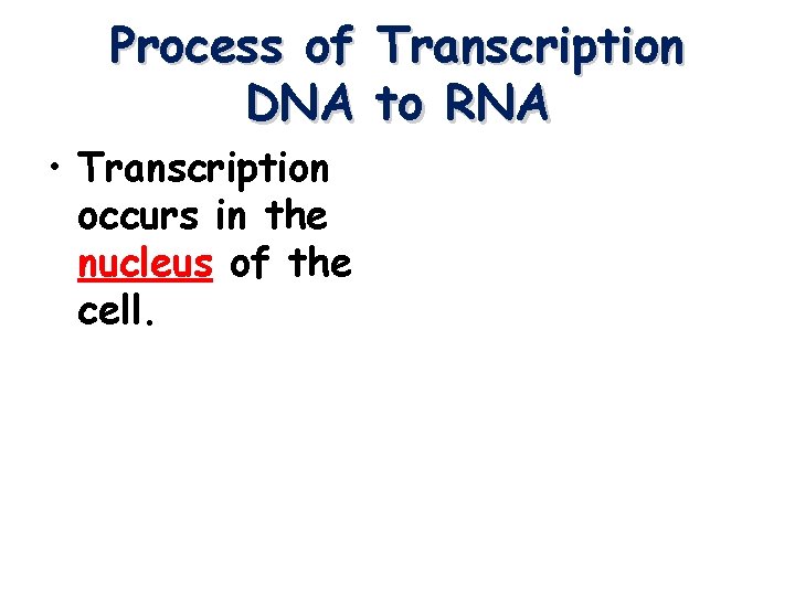 Process of Transcription DNA to RNA • Transcription occurs in the nucleus of the