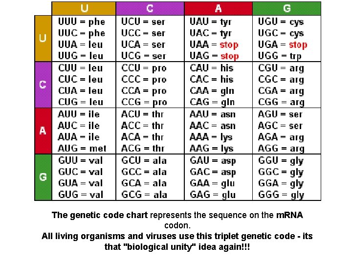 The genetic code chart represents the sequence on the m. RNA codon. All living