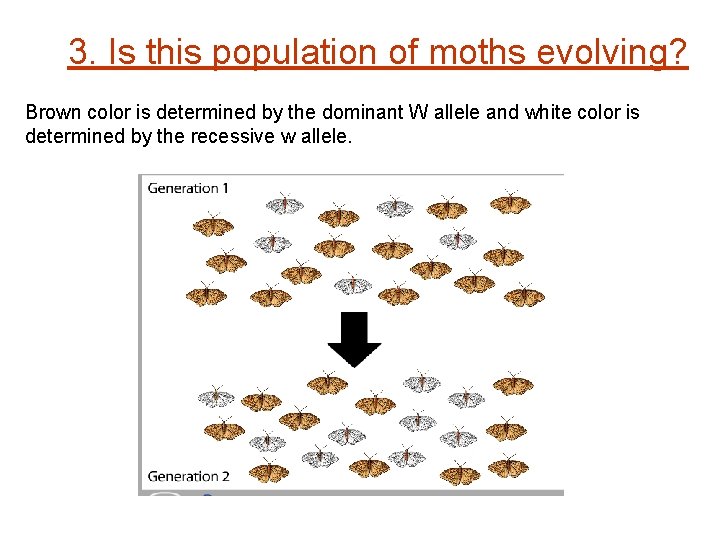 3. Is this population of moths evolving? Brown color is determined by the dominant