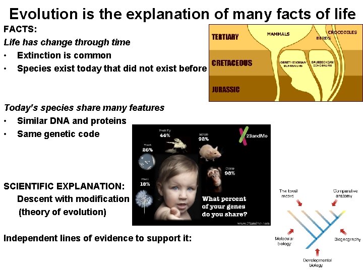 Evolution is the explanation of many facts of life FACTS: Life has change through