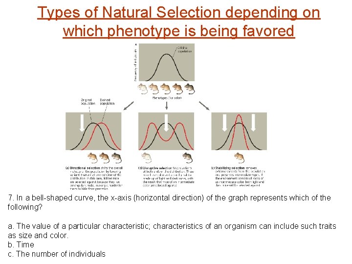 Types of Natural Selection depending on which phenotype is being favored 7. In a