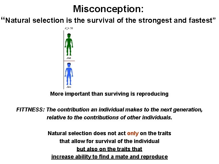 Misconception: “Natural selection is the survival of the strongest and fastest” More important than