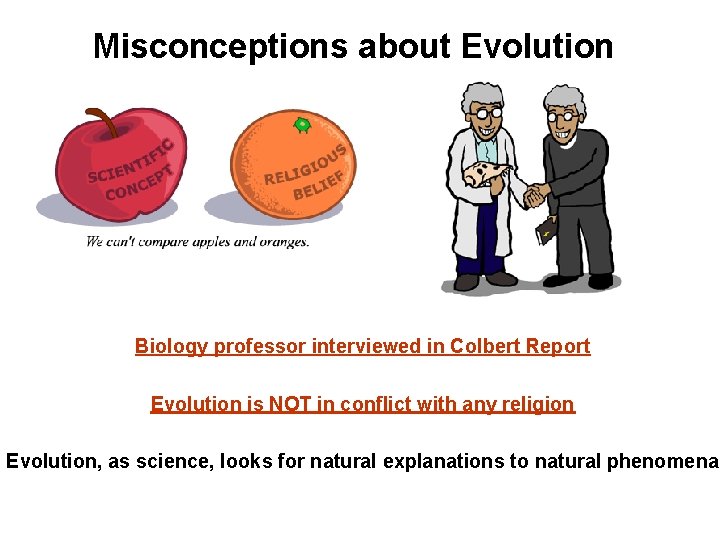 Misconceptions about Evolution Biology professor interviewed in Colbert Report Evolution is NOT in conflict