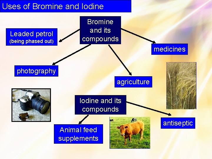 Uses of Bromine and Iodine Leaded petrol (being phased out) Bromine and its compounds