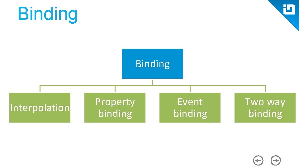 Binding Interpolation Property binding Event binding Two way binding 