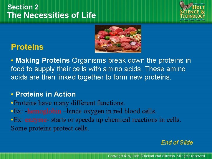 Section 2 The Necessities of Life Proteins • Making Proteins Organisms break down the