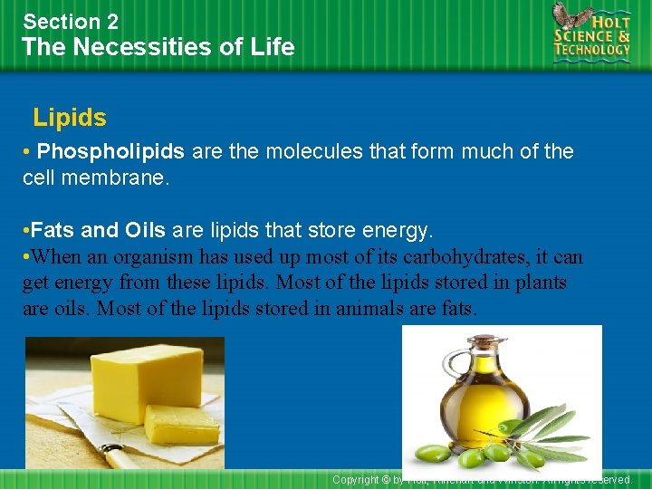 Section 2 The Necessities of Life Lipids • Phospholipids are the molecules that form