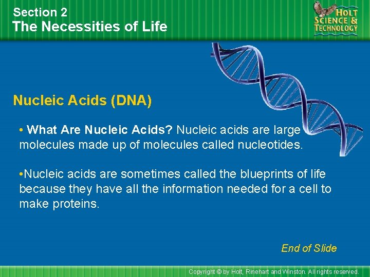Section 2 The Necessities of Life Nucleic Acids (DNA) • What Are Nucleic Acids?
