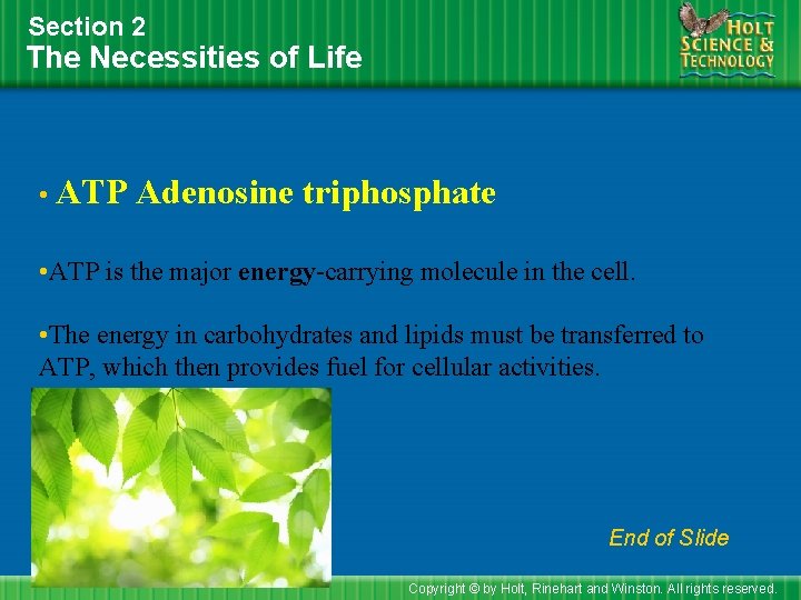 Section 2 The Necessities of Life • ATP Adenosine triphosphate • ATP is the