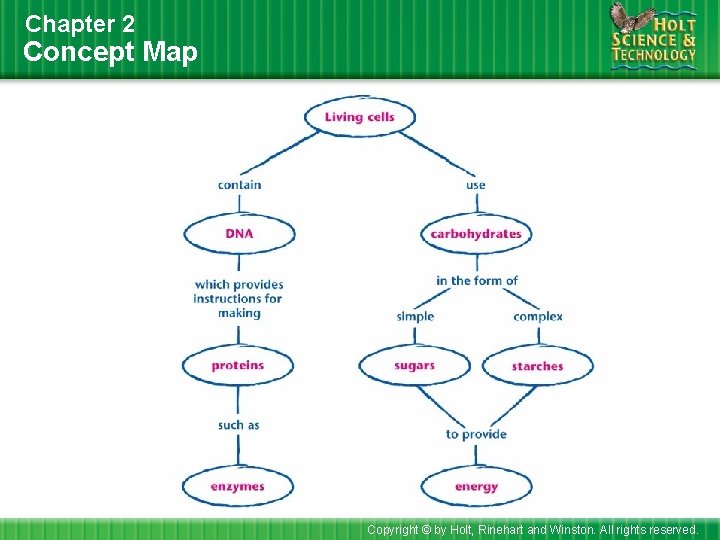 Chapter 2 Concept Map Copyright © by Holt, Rinehart and Winston. All rights reserved.