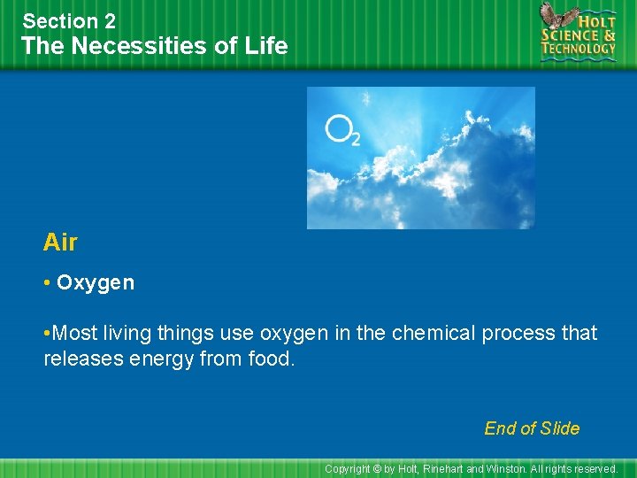 Section 2 The Necessities of Life Air • Oxygen • Most living things use