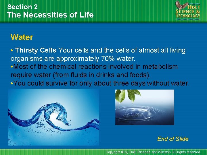 Section 2 The Necessities of Life Water • Thirsty Cells Your cells and the