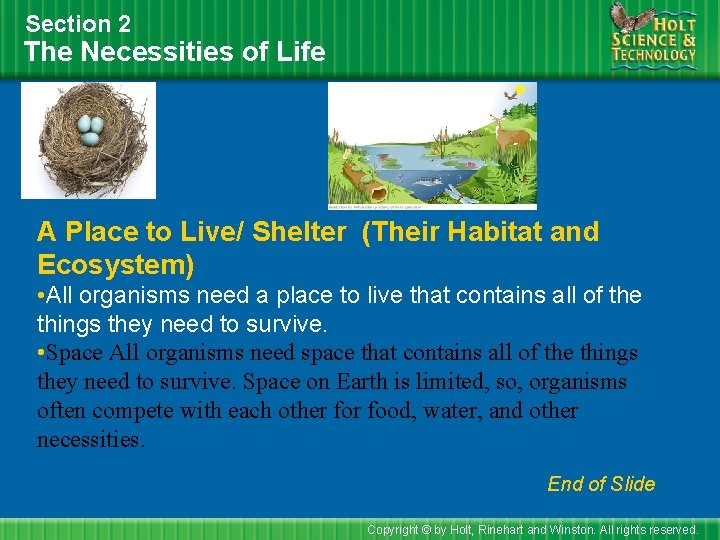 Section 2 The Necessities of Life A Place to Live/ Shelter (Their Habitat and
