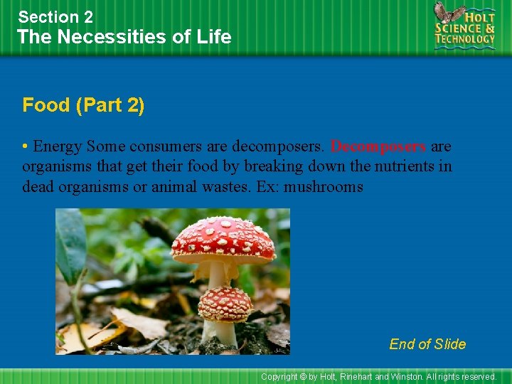 Section 2 The Necessities of Life Food (Part 2) • Energy Some consumers are