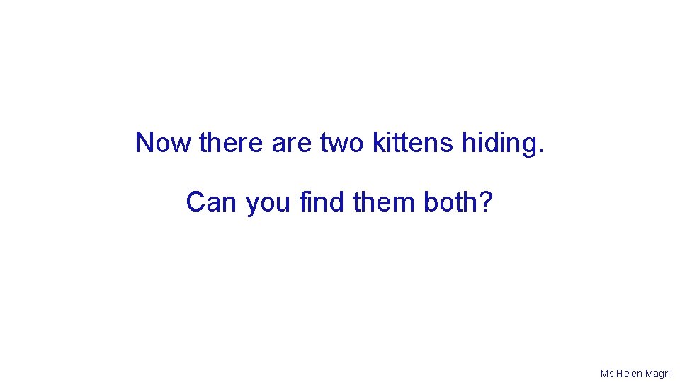 Now there are two kittens hiding. Can you find them both? Ms Helen Magri