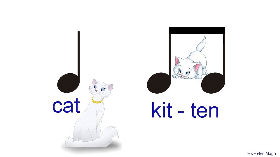 cat kit - ten Ms Helen Magri 
