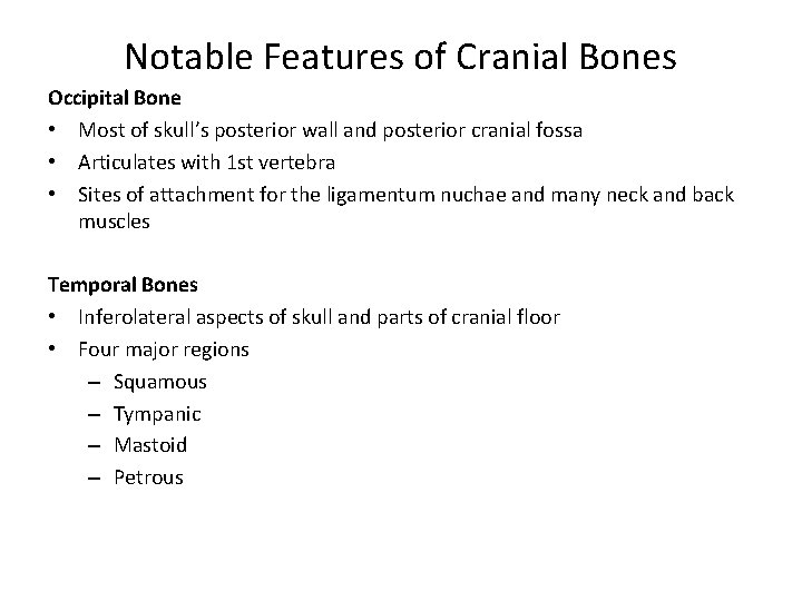 Notable Features of Cranial Bones Occipital Bone • Most of skull’s posterior wall and