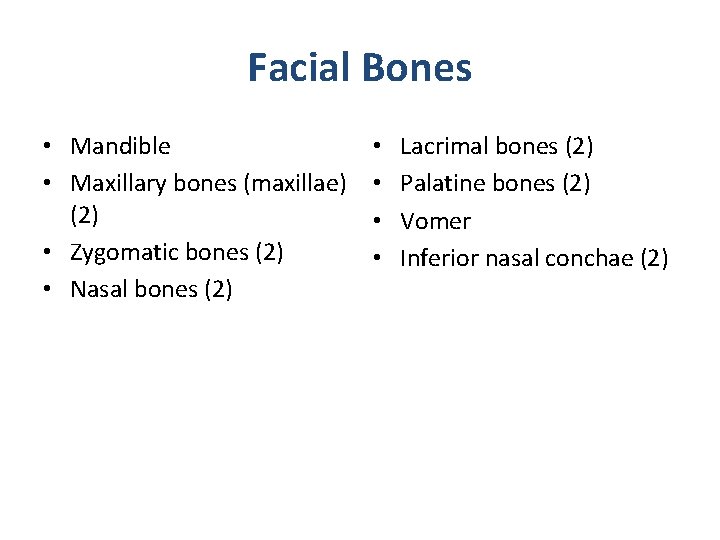 Facial Bones • Mandible • Maxillary bones (maxillae) (2) • Zygomatic bones (2) •