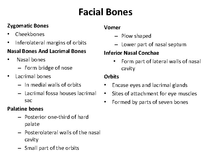 Facial Bones Zygomatic Bones • Cheekbones • Inferolateral margins of orbits Nasal Bones And