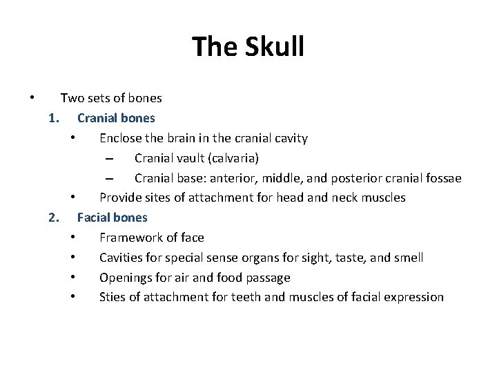 The Skull • Two sets of bones 1. Cranial bones • Enclose the brain