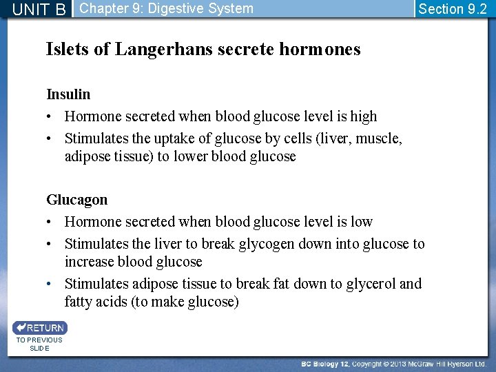 UNIT B Chapter 9: Digestive System Section 9. 2 Islets of Langerhans secrete hormones