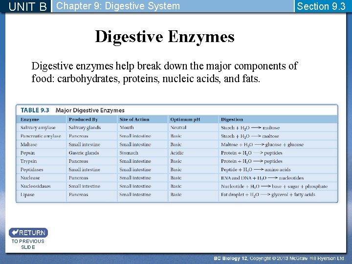 UNIT B Chapter 9: Digestive System Section 9. 3 Digestive Enzymes Digestive enzymes help